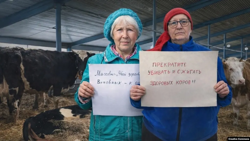 Губернатор Новосибирской области объявил об отставке министра сельского хозяйства региона Андрея Шинделова, сославшись на многочисленные претензии к работе ведомства и проблемы с эпизоотической обстановкой, вызвавшие массовый забой скота и протесты фермеров в ряде регионов.
