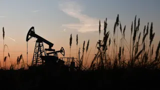 Доля нефтегазового сектора в экономике России в прошлом году снизилась до 13% ВВП — это минимум с 2017 года. На фоне санкций, ограничений добычи и снижения цен на нефть упали обороты и прибыль компаний, сократились нефтегазовые доходы бюджета, а инвестиции в добычу рухнули.