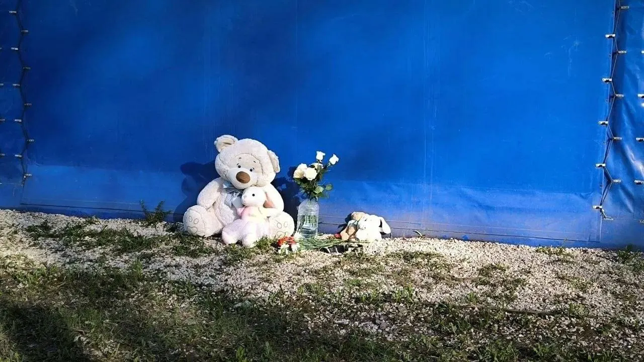 У места трагедии, где из‑за упавшего дерева погибла девочка, жители оставляют цветы и игрушки в память о ребёнке.
