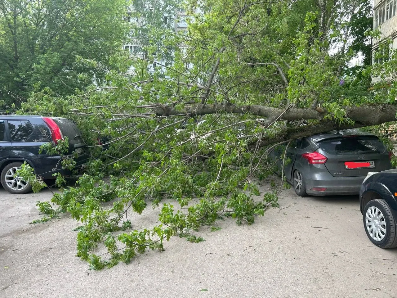 На улице Силина в Самаре на автомобиль рухнуло большое дерево. На пешеходной части в этот момент никого не было; причины падения выясняют.