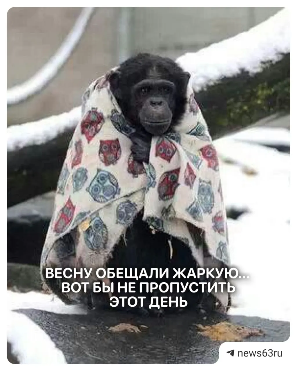Первая рабочая неделя мая принесёт тёплые дни — до +25, но ночами возможны сильные похолодания до +2. Также прогнозируют кратковременные дожди и порывистый ветер.