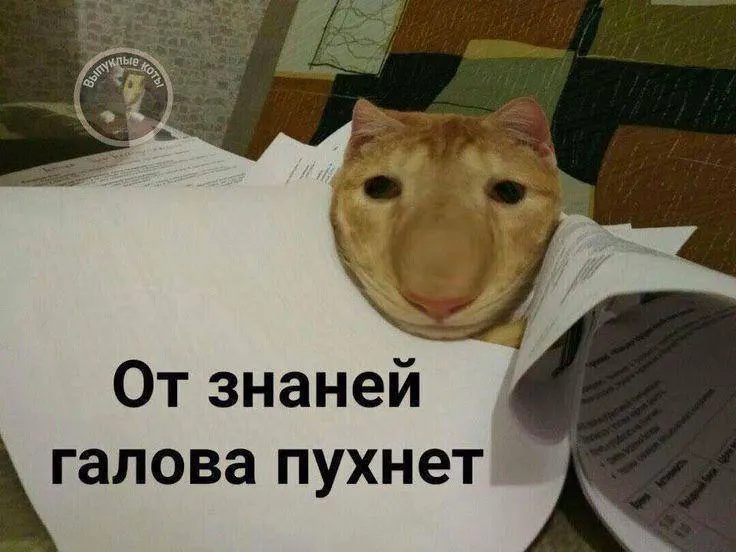 Министр спорта сообщил, что в этом году испытание по управлению мини‑дроном хотят запустить в тестовом режиме, а значок ГТО может дать до 10 баллов к результатам экзамена.