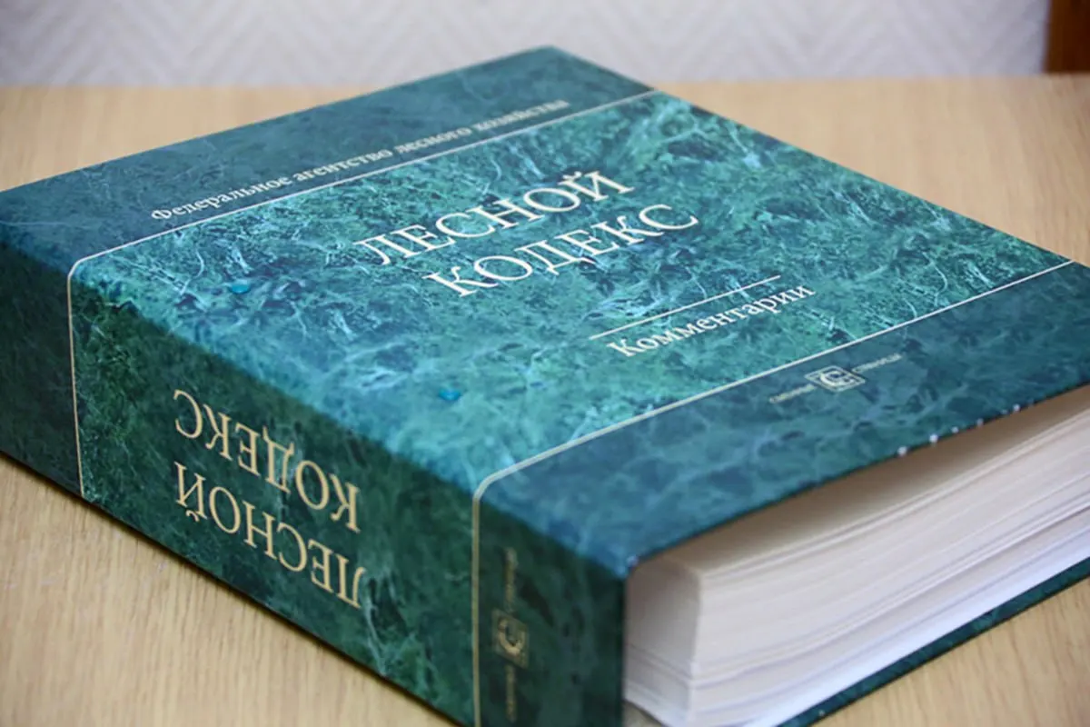 С момента принятия в 2006 году в Лесной кодекс внесли 79 наборов поправок, последний из которых вступает в силу в сентябре. Эксперт по лесам Алексей Ярошенко считает, что из‑за частых изменений кодекс утратил актуальность и требует полной замены и значительного упрощения.