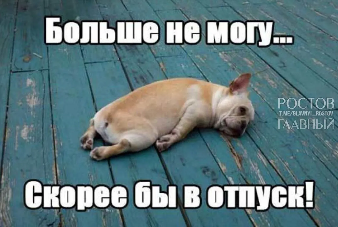 Депутаты Госдумы предлагают повысить минимальную продолжительность ежегодного оплачиваемого отпуска с 28 до 35 дней, чтобы компенсировать включённые в отпуск выходные и снизить риск профессионального выгорания.