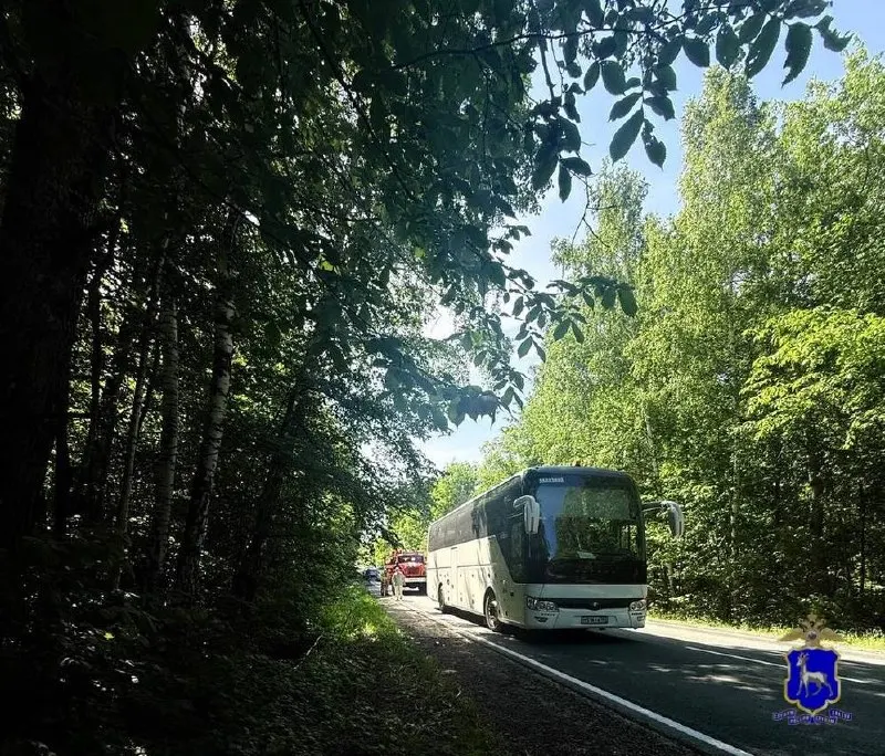 В Ставропольском районе Самарской области автобус с 44 детьми столкнулся с легковым автомобилем. Легковушка полностью выгорела, пострадавших нет.