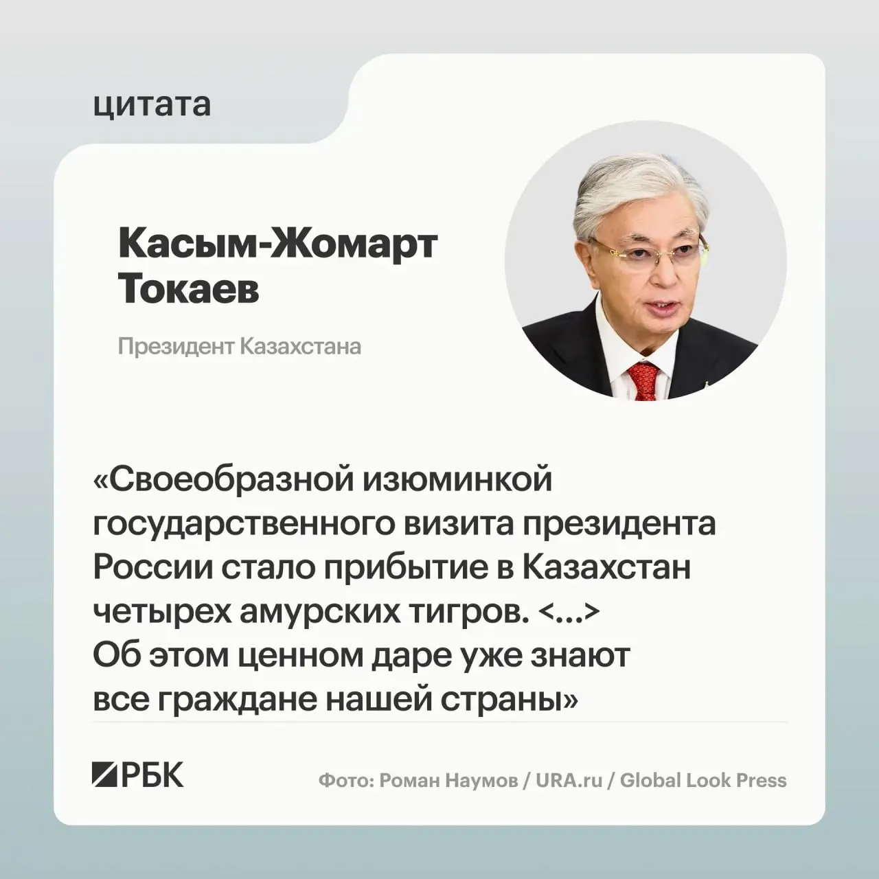 Россия передала Казахстану семейство амурских тигров по просьбе Астаны о помощи в восстановлении вида; президентам показали презентацию о животных.