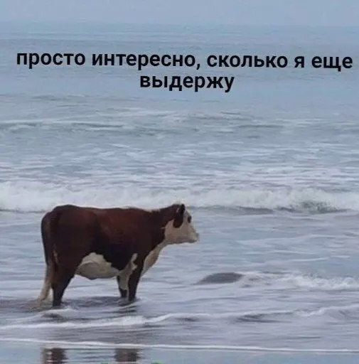 Геомагнитная активность вырастет до 5 баллов с 15 по 18 мая; ранее несколько дней индекс не превысит 2 баллов. Метеочувствительным стоит подготовиться.
