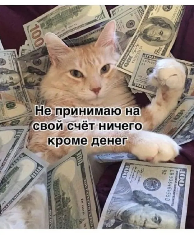 Рашид Галимов лишился должности по причине утраты доверия: прокуратура проверяет происхождение 10 млн рублей, 6,4 млн он назвал «подарком».