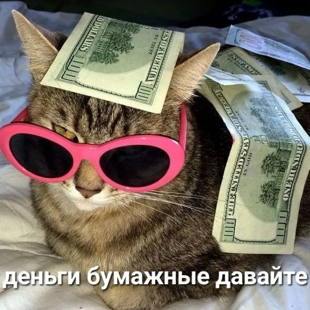 Молодая женщина знакомилась в соцсетях, просила деньги якобы из‑за трудной жизни и исчезала после переводов. На её имущество наложен арест, ей грозит до 10 лет колонии.