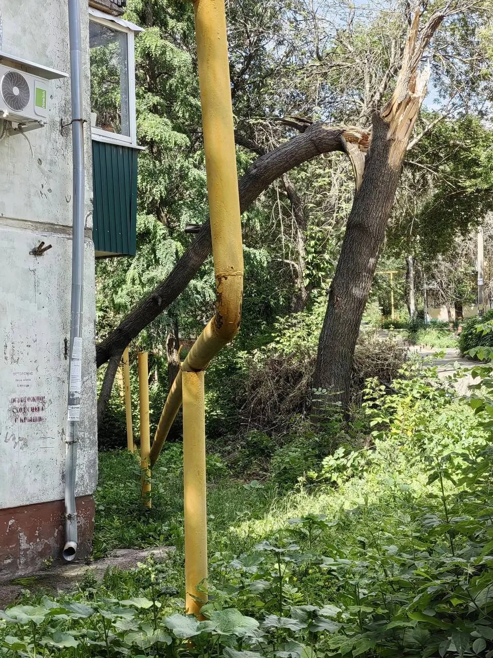 У домов №164 и №168 ветки задели газопроводы: утечек не зафиксировано, но жители опасаются последствий. На одном из участков заявку в аварийную службу подали ещё 22 июня, помощи пока нет.