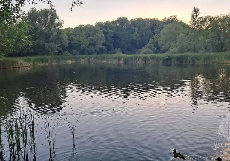 В Борском районе в пруду у села Коноваловка найдено тело мужчины. Очевидцы извлекли погибшего, личность устанавливают; спасатели дали рекомендации по безопасному купанию.