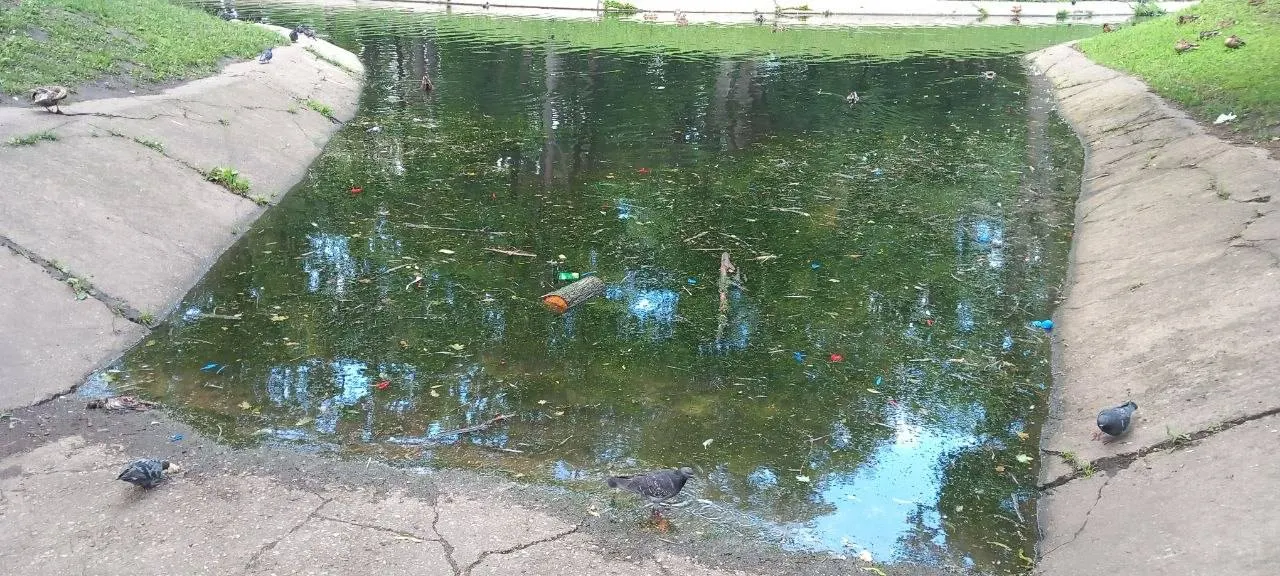 Посетители парка заметили погибших птиц на берегу и в воде, а также лопнувшие шарики и другой мусор; на пруду в это время продолжают кататься люди на катамаранах.
