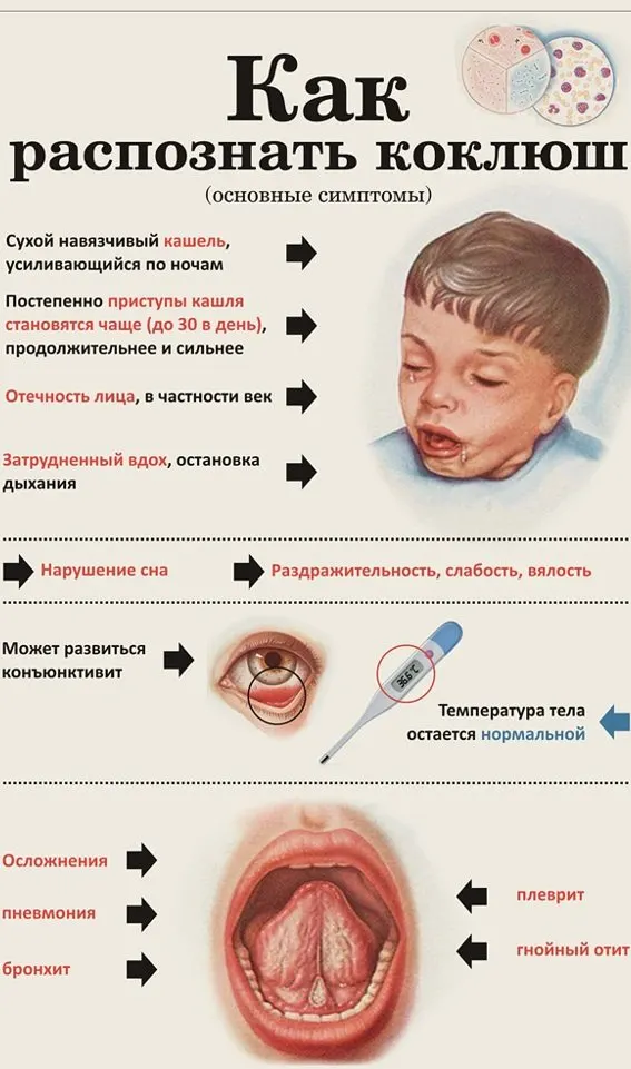 Медики бьют тревогу: в регионе фиксируют случаи коклюша, особенно среди детей. Врачи напоминают о важности вакцинации и своевременной медицинской помощи.