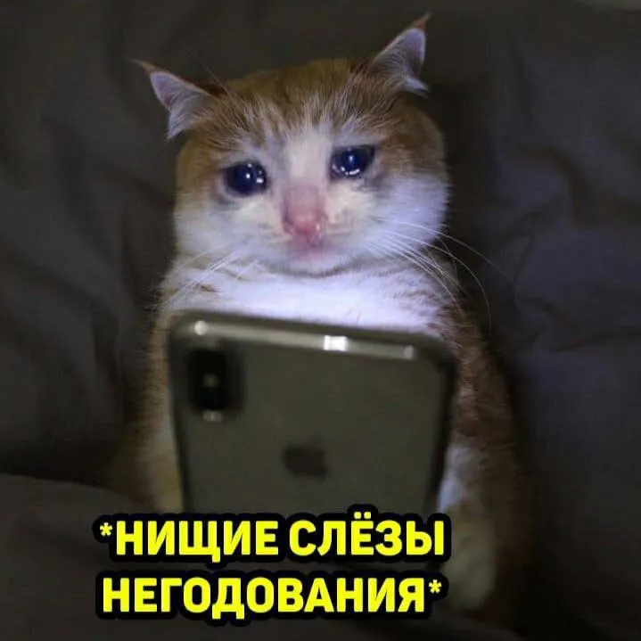 Житель Самары перевёл незнакомке 19,5 тысячи рублей якобы за бронирование места для свидания в кино, женщина не пришла и перестала выходить на связь. По факту мошенничества возбуждено уголовное дело.