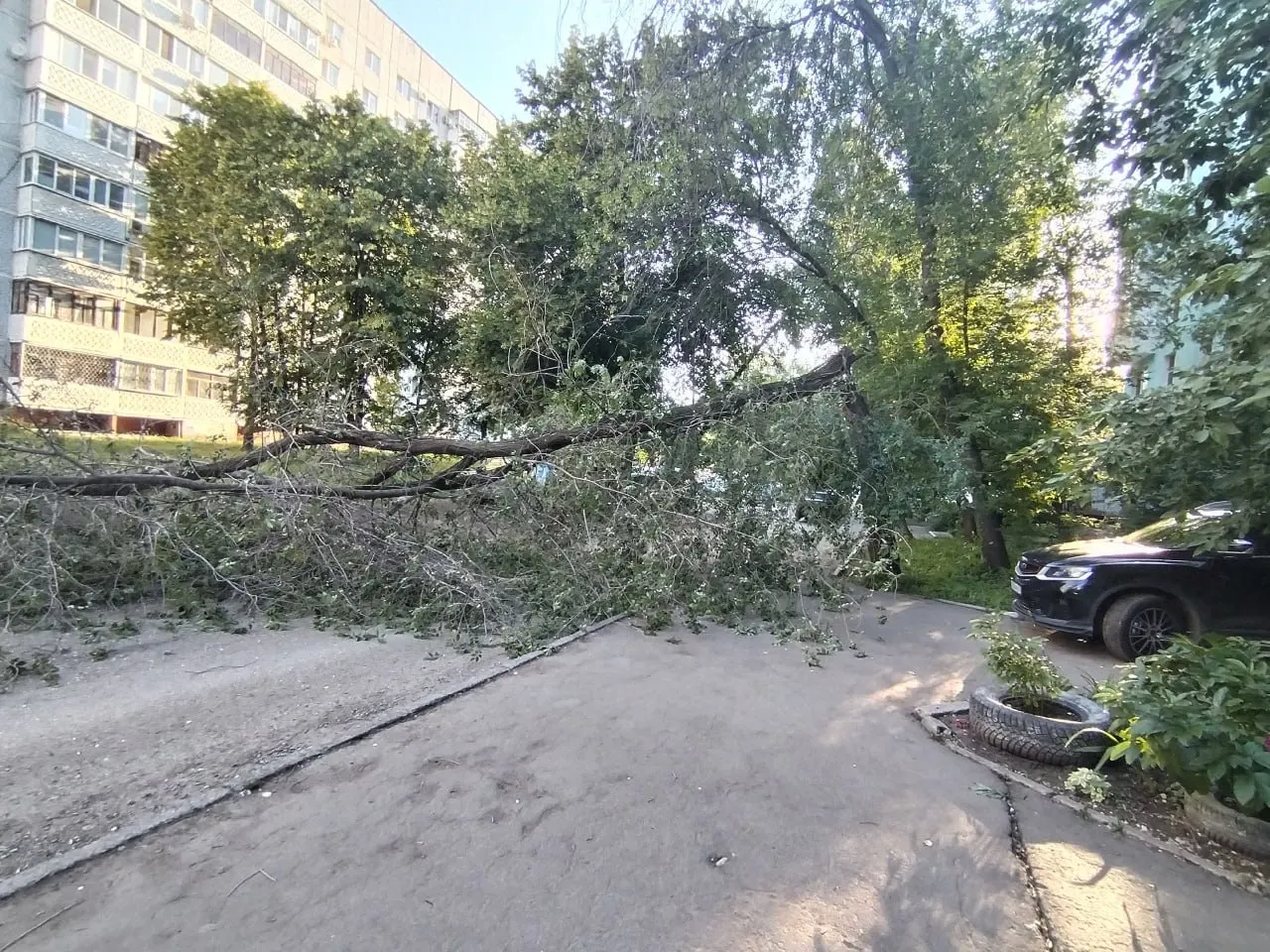 Дерево обрушилось на дом по адресу Стара Загора, 84. Из‑за происшествия в этом районе перестало работать уличное освещение.