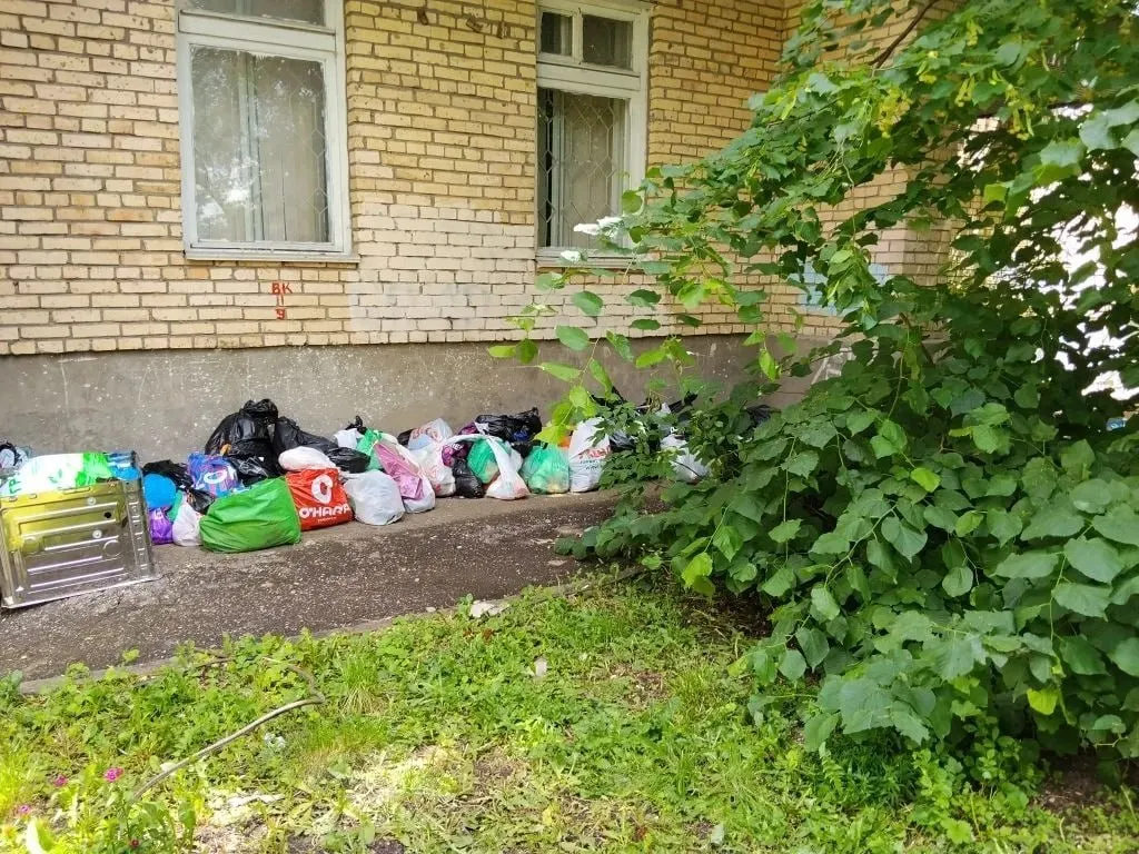 Жители дома на улице Революционная, 133а сообщают, что пожилая женщина выносит пакеты с помойки и хранит их у подъезда — от этого появился запах, тараканы и крысы, а обращения в местную администрацию, по словам соседей, остаются без реакции.
