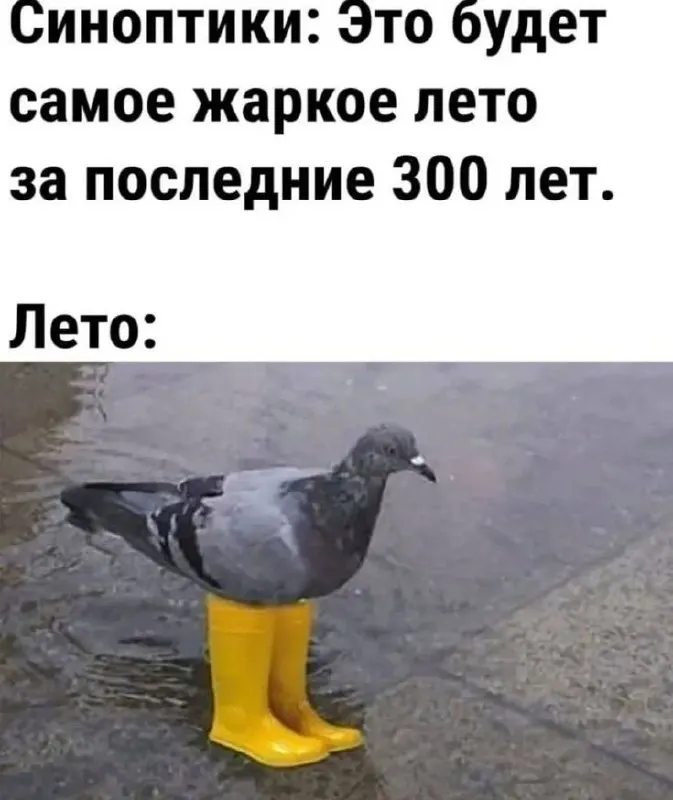 Днём в отдельных районах Самарской области ожидаются сильный дождь, гроза и возможен град; усиление северо-западного и северного ветра с порывами до 15–20 м/с.