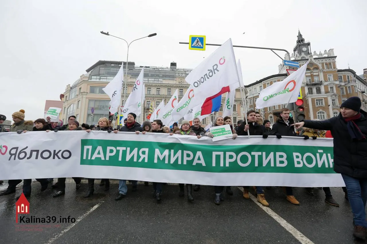 Регистрация федерального списка партии, выступающей против войны, рассматривается как способ направить протестные настроения в контролируемое русло. При этом многие известных членов партии были лишены возможности участвовать в выборах.