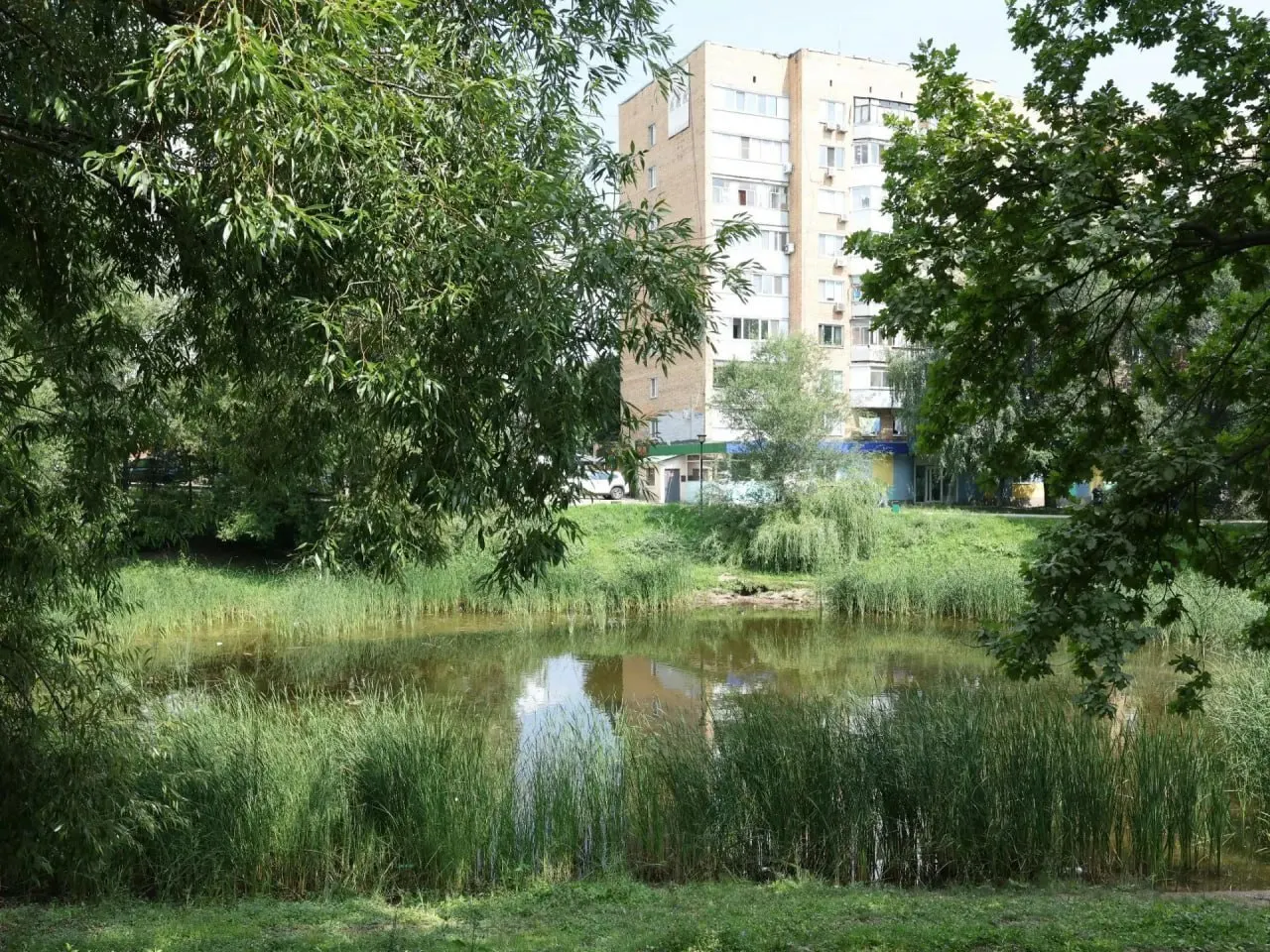 Озеро в Дубовом колке пересыхает из‑за отсутствия притока и фильтрации. На восстановление 13 городских водоёмов оценили свыше 2 млрд рублей.