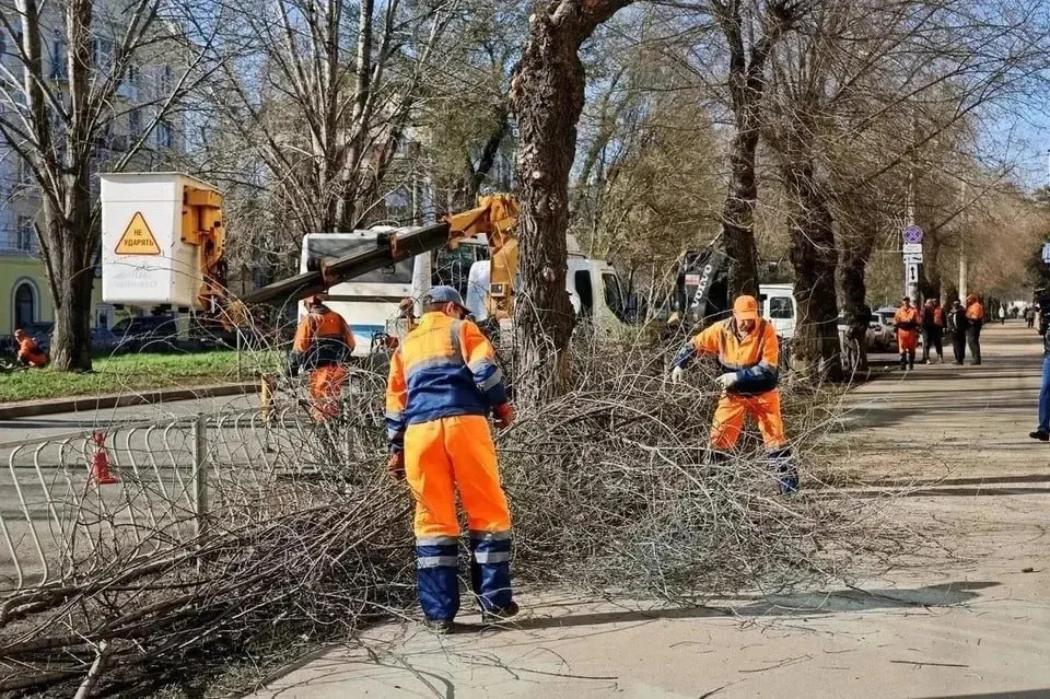 В городе приходится всего 4,5 квадратных метра зелёных насаждений на человека при нормативе 16 м². Для сравнения: в Казани — 49 м², в Нижнем Новгороде — почти 15,5 м². Деревья вырубают, новые парки не появляются.