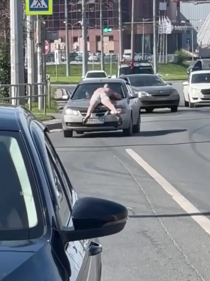 У кольца улицы Авроры и Московского шоссе прохожие увидели человека, лежавшего на капоте движущейся машины. Жители выдвигают версии — от жары и сильного опьянения до проигранного пари.
