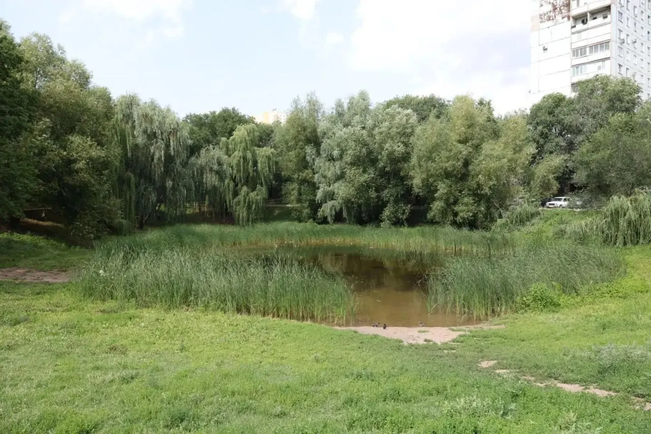 Водоём в сквере «Дубовый колок» высох и превратился в яму с грязью и мусором. Местные власти планируют восстановительные работы.