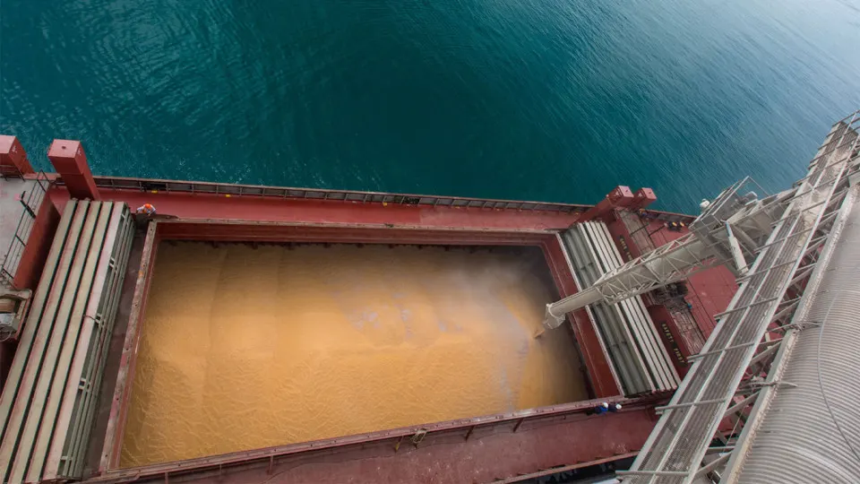 Активы крупнейшего российского зернотрейдера — порты, суда, вагоны и земельные участки — проданы АО «Тиара Холдинг» за 11,3 млрд рублей. По словам собеседников на агрорынке, реальным бенефициаром сделки может быть холдинг «Деметра» с участием инвестора из Омана.