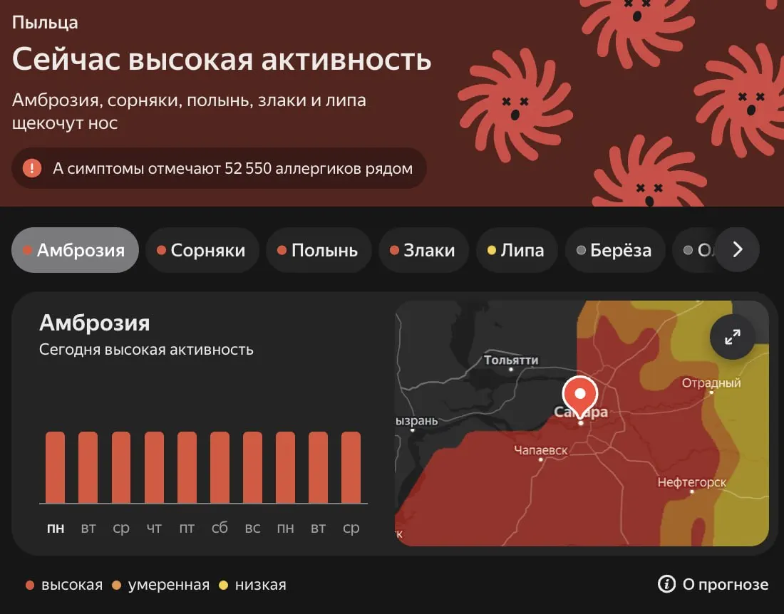Более недели в регионе прогнозируется высокая концентрация пыльцы. Наиболее заметны амброзия, сорняки, полынь и злаковые растения — аллергикам стоит соблюдать осторожность.