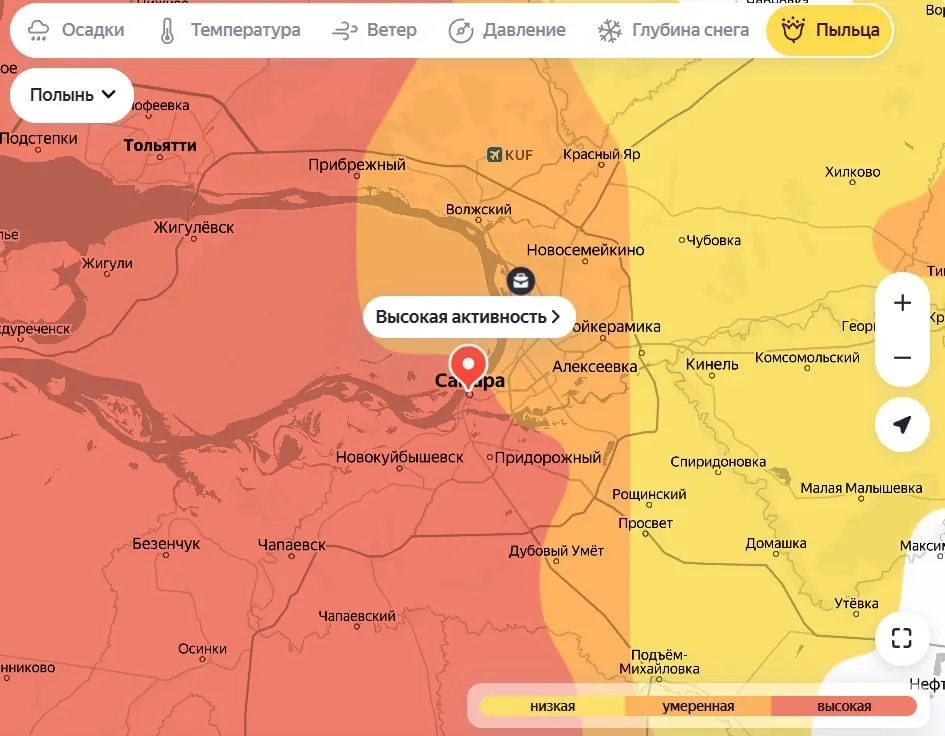 На этой неделе в Самарской области ожидается высокая концентрация пыльцы злаков, полыни, сорняков и амброзии. Людям с аллергией рекомендуется принять меры предосторожности.