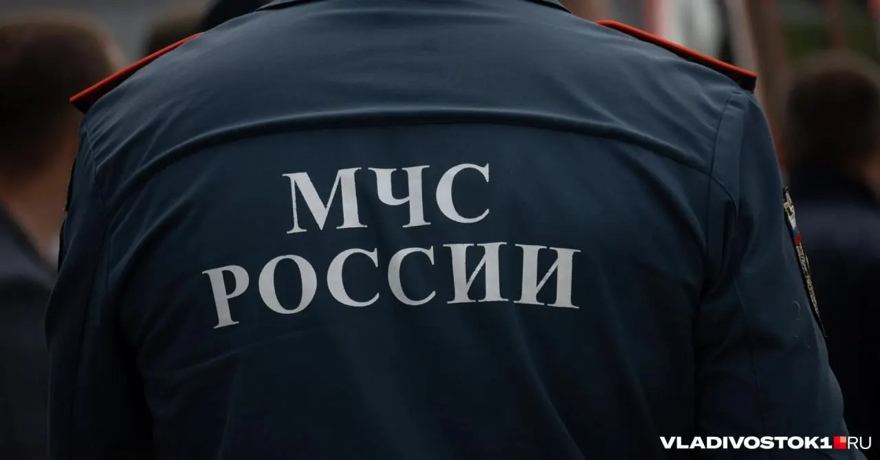 В реестр лиц, уволенных в связи с утратой доверия, попал бывший инспектор надзорной деятельности Максим Флягин.