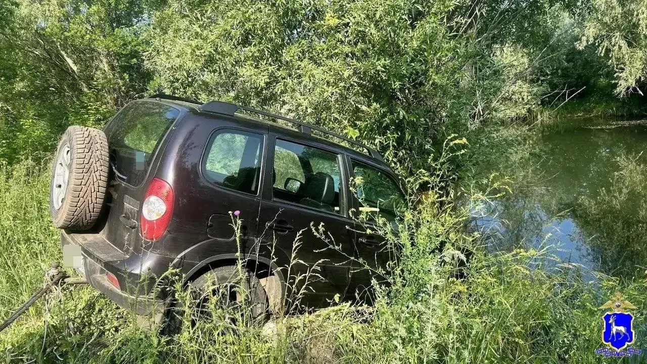 57‑летний мужчина пытался удержать скатившийся Chevrolet Niva, но машина прижала его к дереву — от полученных травм он скончался на месте.