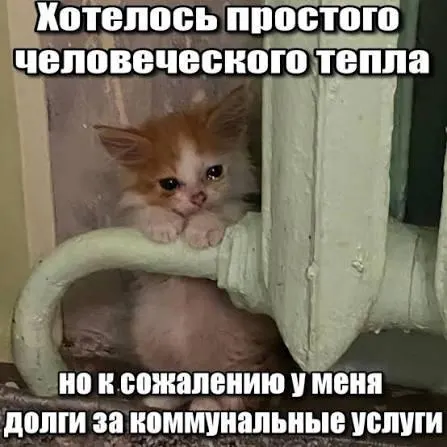 ВС подтвердил, что требование о взимании долгов за капремонт старше трёх лет подпадает под исковую давность и не может приводить к принудительному списанию средств.