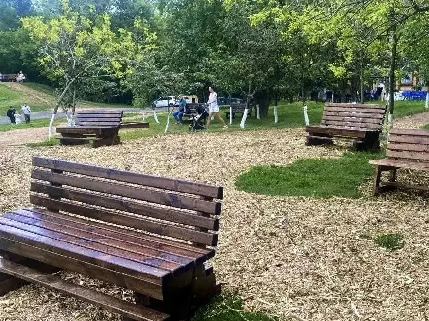 На пляже Загородного парка положили деревянную дорожку, на склоне установили дополнительные лавочки и замульчировали почву — работы направлены на повышение комфорта и сохранение растительности.