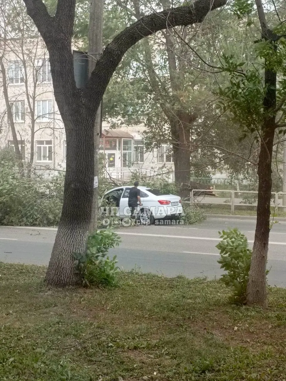 Дерево упало на дорогу на площади Кирова; движение может быть ограничено.