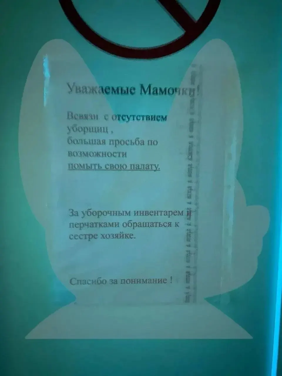 Мать семилетнего пациента рассказала о тяжёлых условиях в Самарской областной детской клинической больнице: тараканы в палатах, укусы комаров и проблемы с питанием и обслуживанием.