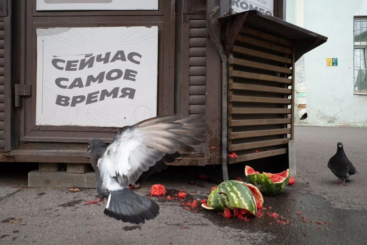 Обзор событий в Петербурге и Ленобласти, а также в Москве и мире: штраф за участие в запрещённой организации, судебные разбирательства по выборам, памятные богослужения и кадровые перестановки в Минобороны.