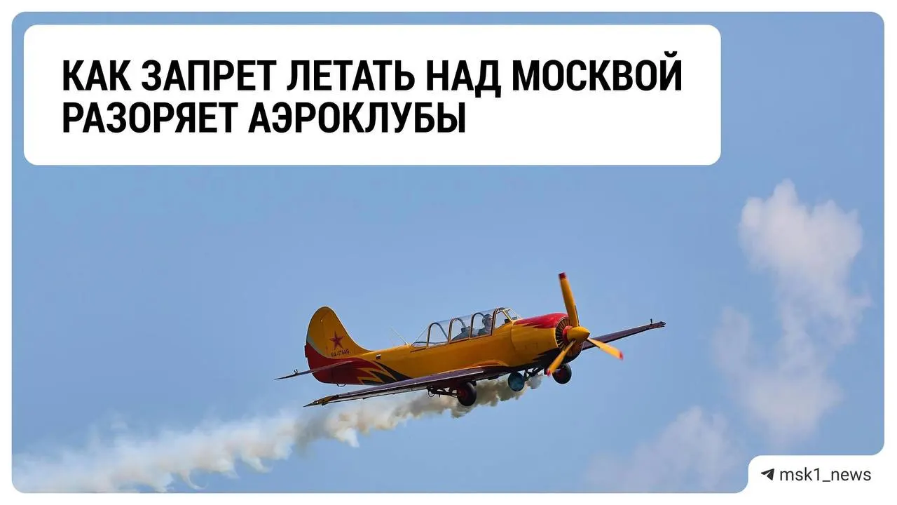 Ограничения на полёты над столицей ударили по аэродромам Подмосковья: падают доходы, клубы ищут выход из кризиса.
