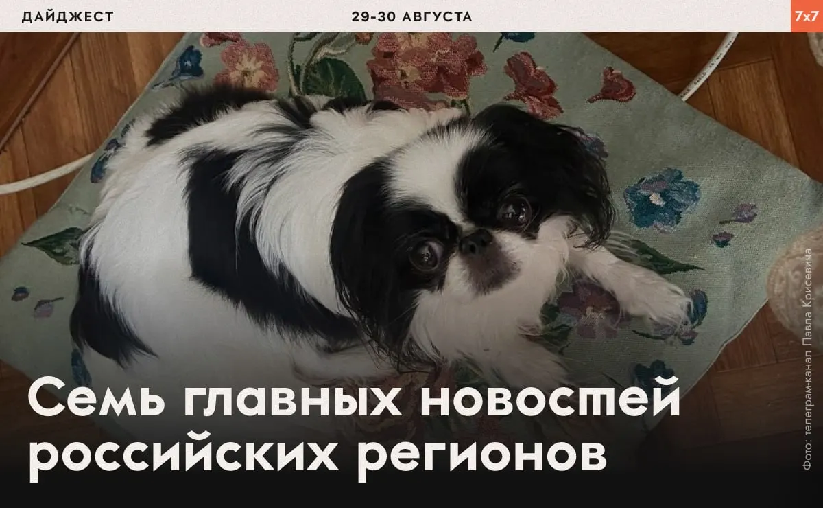 Короткий обзор эпизодов давления и ограничений в регионах и по всей России: от содержания в СИЗО до запретов на агитацию и региональных мер.