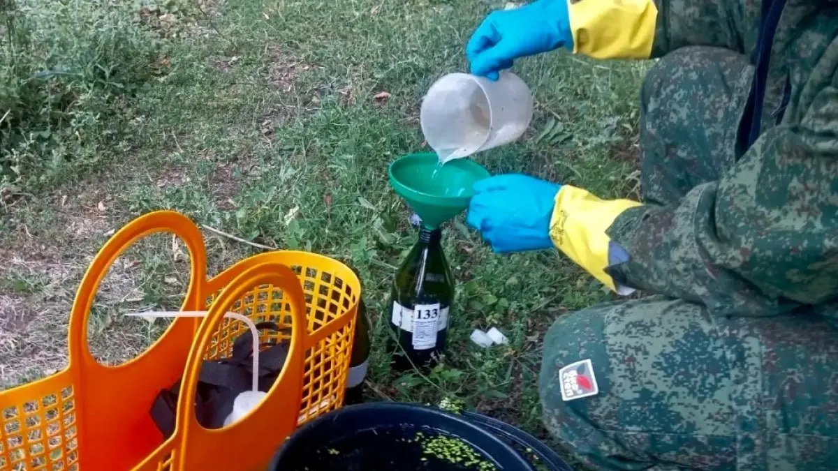 Межведомственная проверка на реке Овсянка выявила помутнение воды и гибель рыбы; рассматривают версию вмешательства сторонней техники.