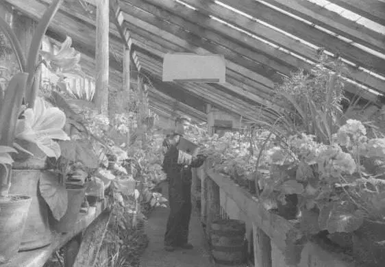 Ботанический сад Самары отмечает 94-летие: он был создан 1 августа 1932 года на площади 40 гектаров при Институте по изучению и охране природы Средневолжского края.