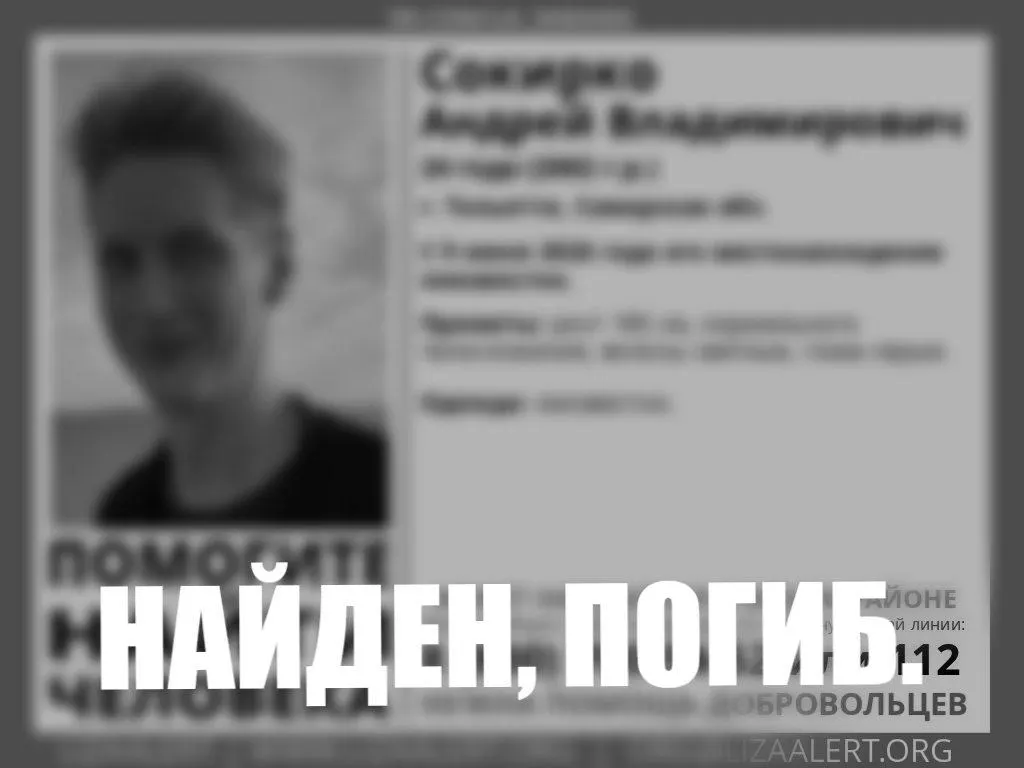 В лесном массиве Тольятти найдено тело пропавшего два месяца назад молодого врача Андрея Сокирко. Причина смерти устанавливается.