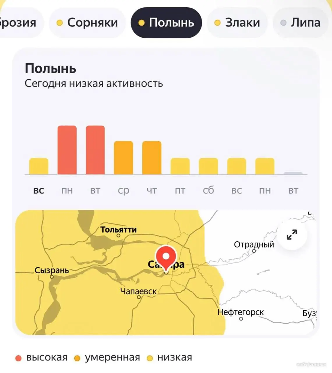 В регионе начинается волна пыльцы: амброзия, полынь и злаки — главные раздражители сезона.