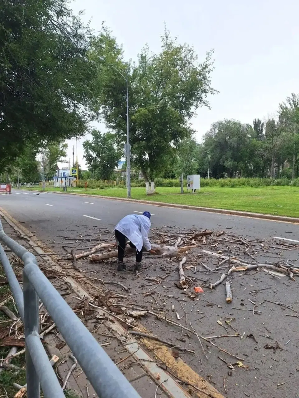 Волонтёры своими силами расчиcтили дорогу после падения дерева на Московском шоссе, предотвращая возможное ДТП.