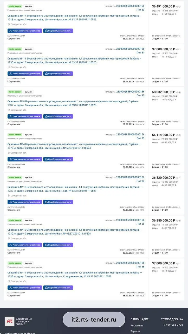 На торги выставлены семь глубоких скважин в Шигонском районе: глубина скважин варьируется от 1,2 до почти 2 км; стартовая цена — 36,5 млн рублей, совокупная стоимость — около 300 млн.
