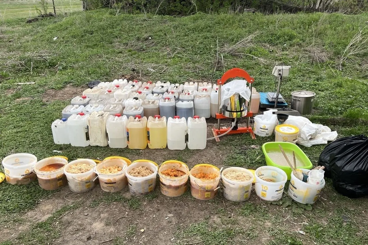 Двое мужчин организовали производство синтетических наркотиков в селе Борское. Их задержали, изъято 118 кг a-PVP и оборудование. Возбуждено уголовное дело.