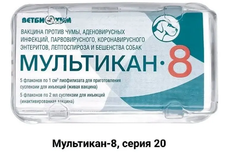 Пострадавшие требуют независимых анализов и расследования после гибели собак после вакцинации «Мультикан-8», уверяя в возможной причине связанные с вакциной нарушения и давление со стороны лабораторий и госорганов.