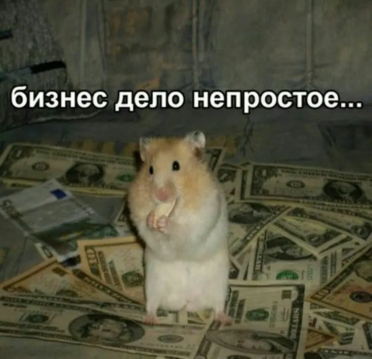 Следствие считает, что руководитель завышал расходы и применял спорные вычеты по НДС, что привело к недоплате налогов на около 98 млн рублей; арестовано имущество и счета на сумму примерно 100 млн рублей.
