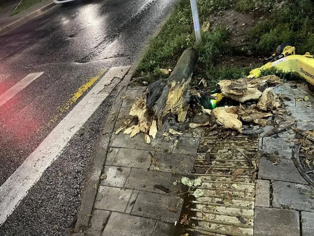 Дерево рухнуло вечером 8 сентября на улице Клинической; школьница получила помощь медиков и была госпитализирована.