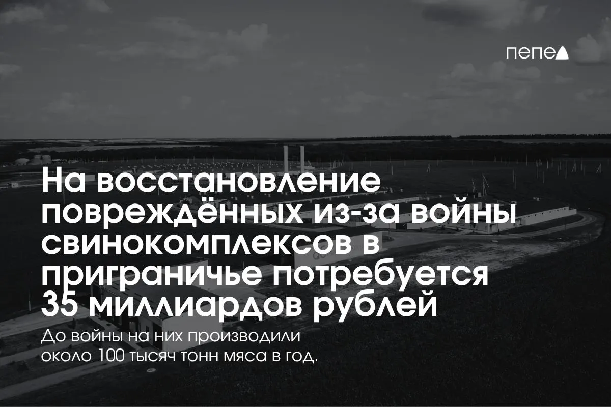 После боевых действий на границе Белгородской, Курской и Брянской областей восстановление требует примерно 35 млрд рублей; часть предприятий приостановила работу, усиление безопасности — приоритет.