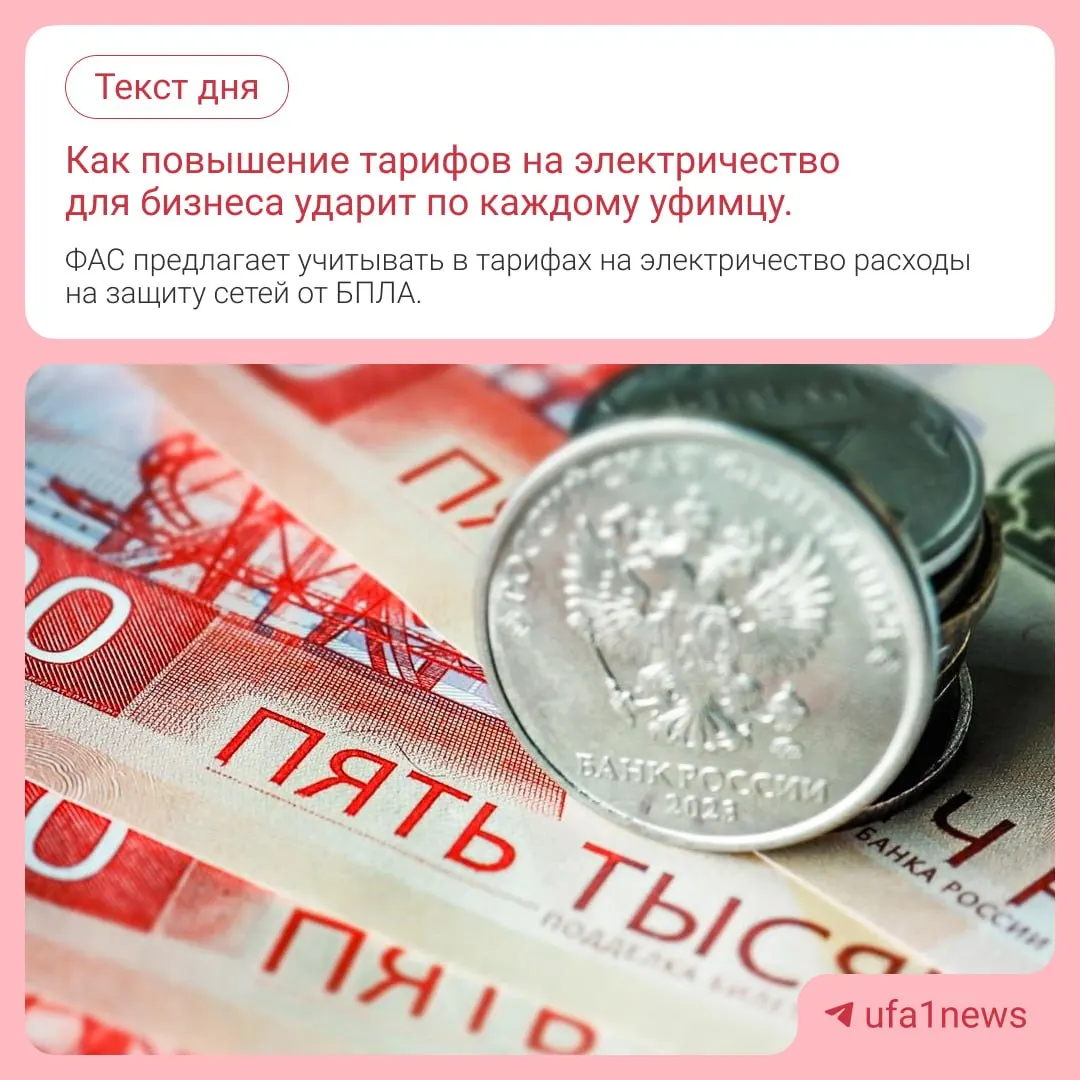 ФАС предложила пересмотреть методику расчета тарифов, включая затраты на защиту линий электропередачи от беспилотников, что может повлиять на цены для населения.
